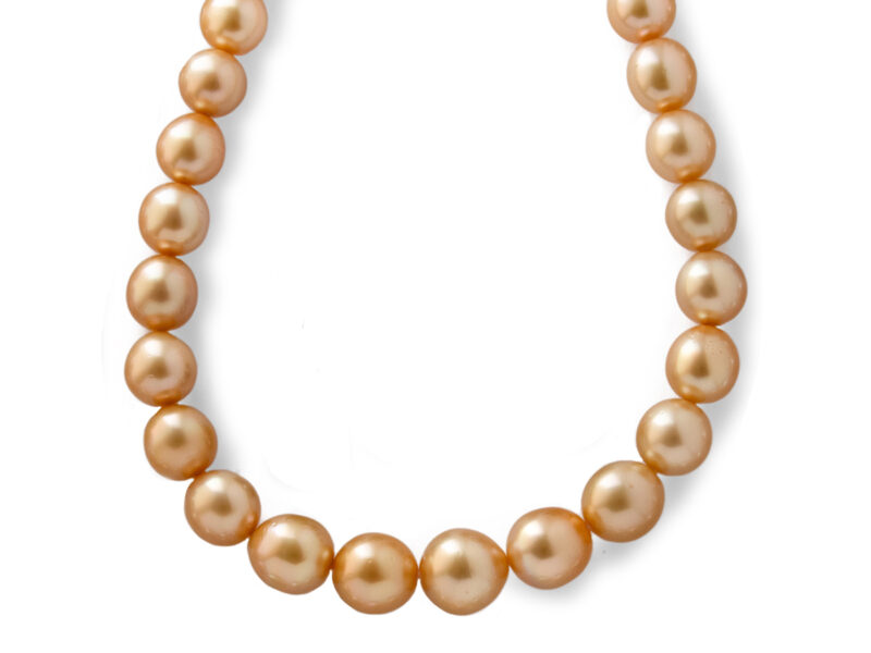 Row of Golden South Sea Cultured Pearls